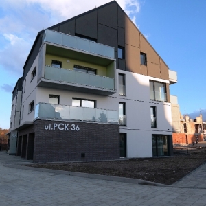 Prace zakończone zostały tylko nasadzenia_4