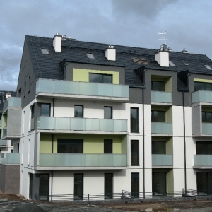 Prace zakończone zostały tylko nasadzenia_6