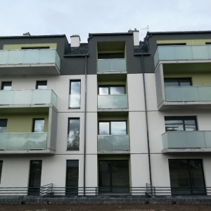 Prace zakończone zostały tylko nasadzenia_7